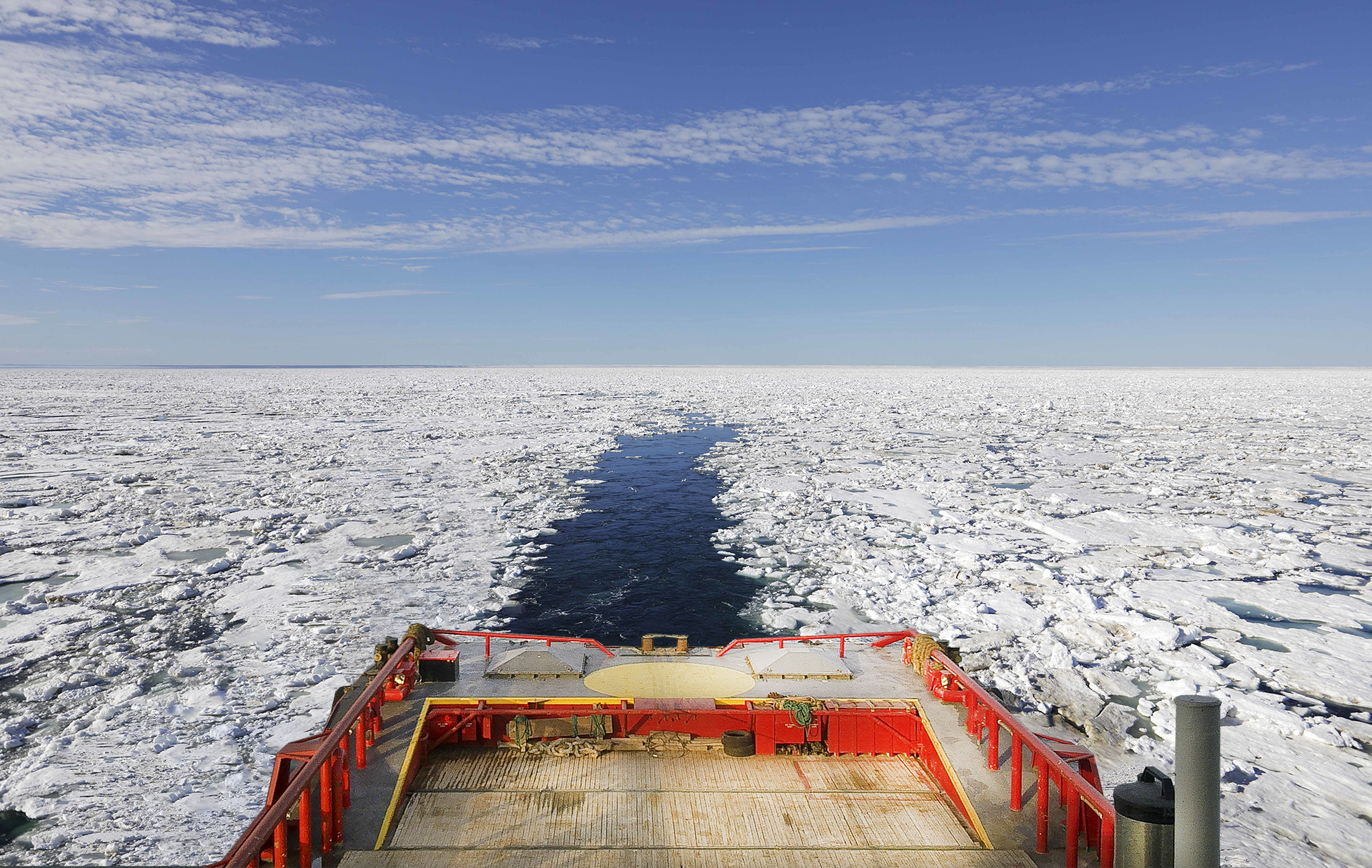 Logistical expert under arctic circumstances